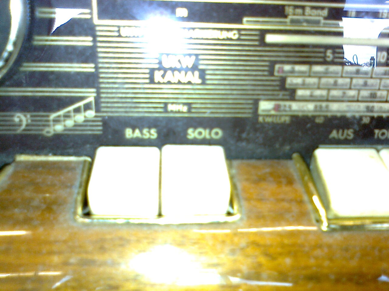 Bass Solo.jpg