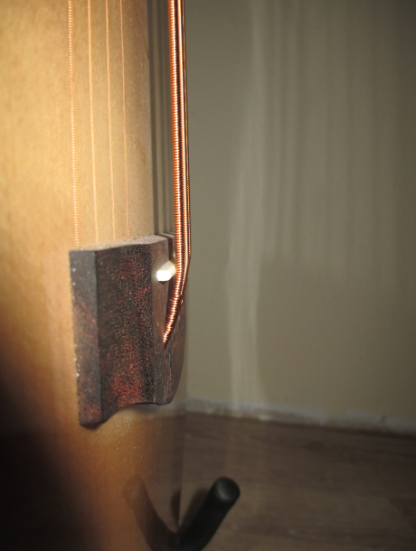 Bass1.PNG
