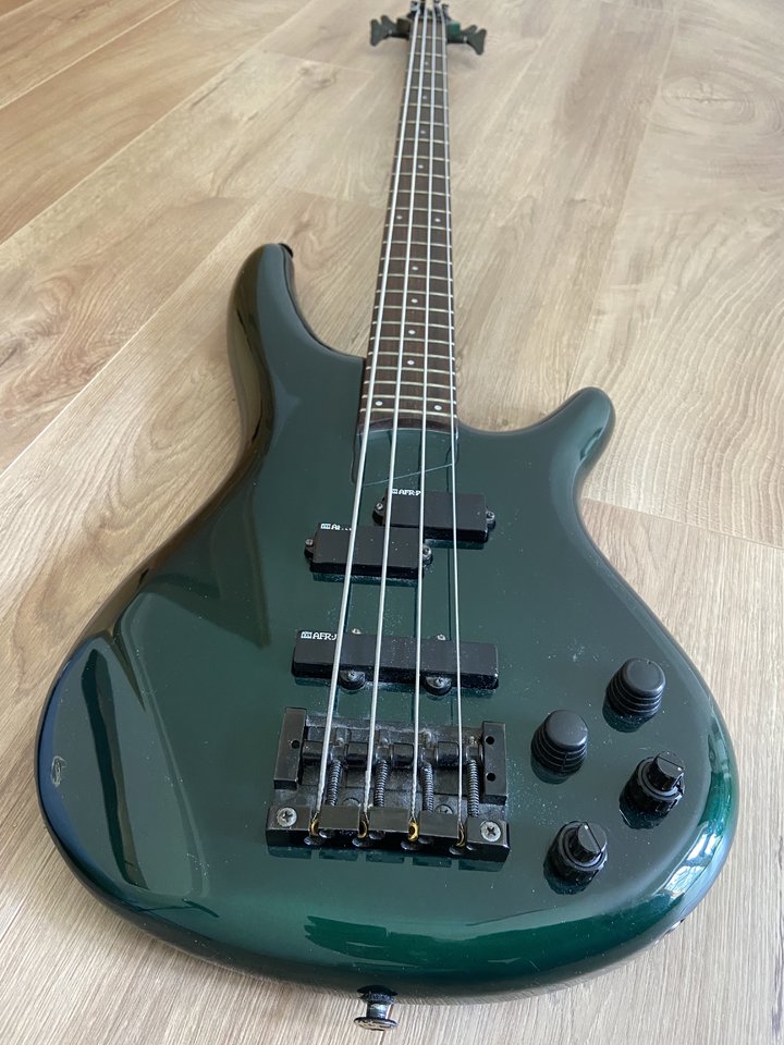 bass4.jpg