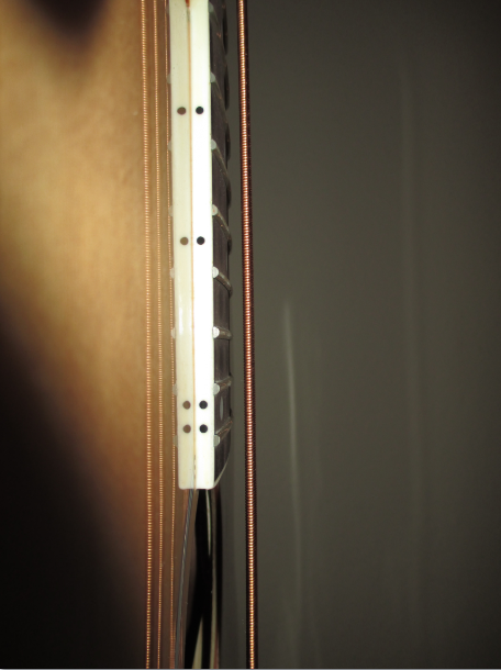 Bass4.PNG