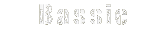 bassic-logo_2017_2.png