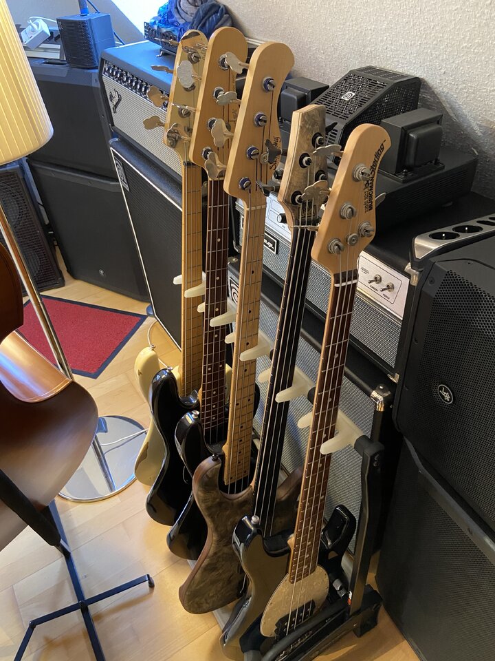 bassis.jpg