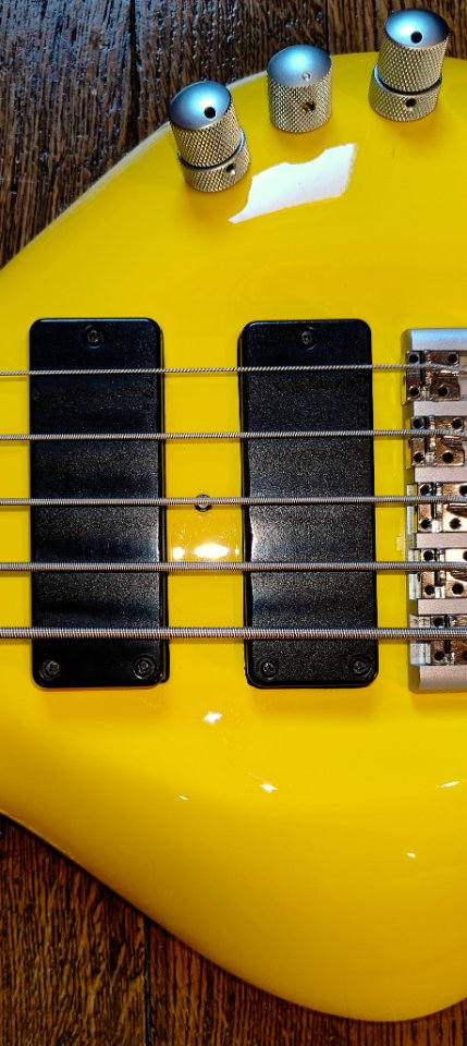 BassLab L-Bow V October 2000 (8).jpg