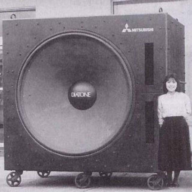 bassspeaker.jpg