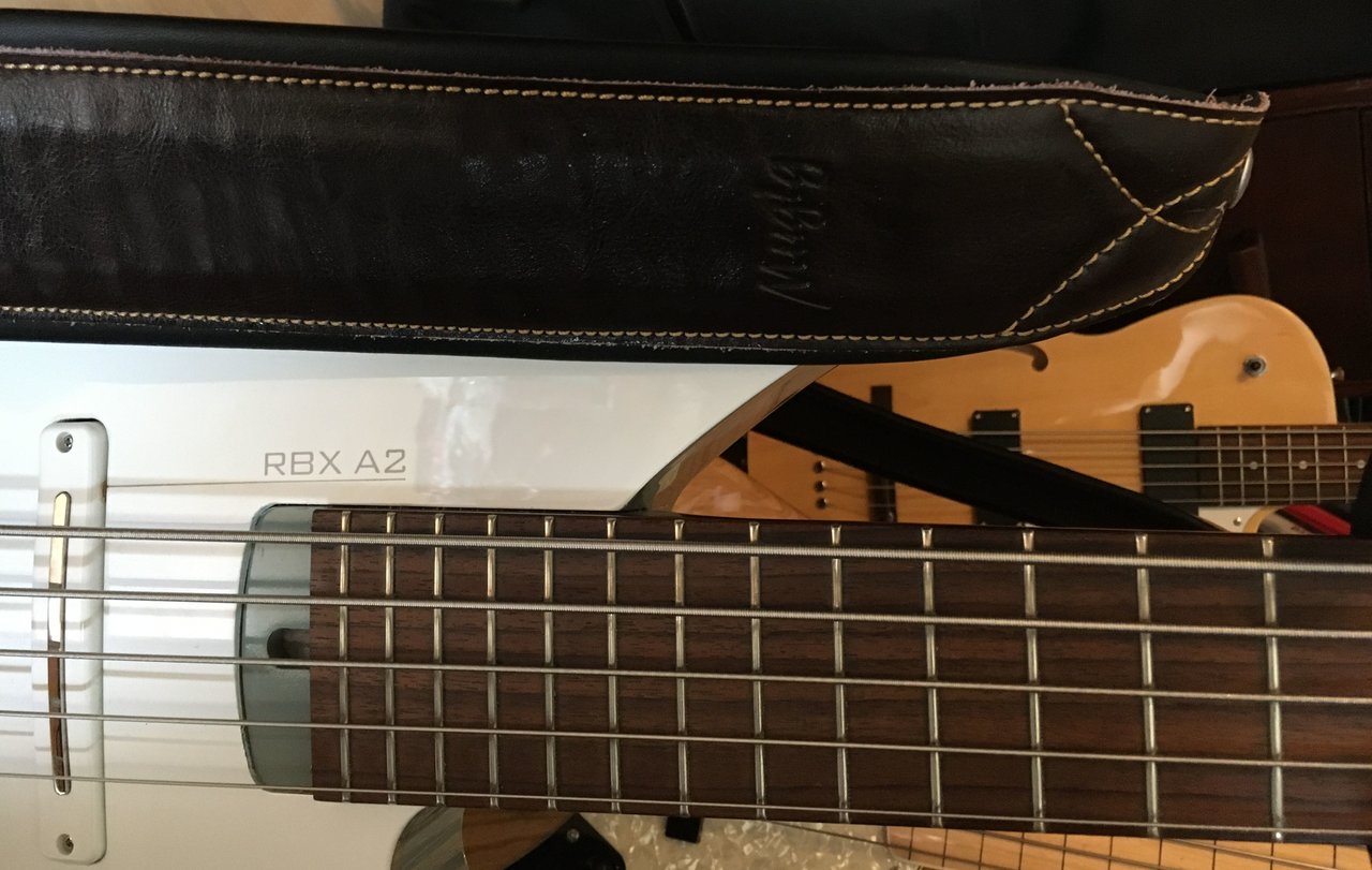 bassstraps1.jpg