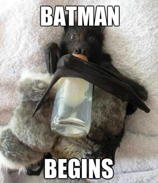 batman-begins.jpg