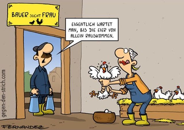 BauerSuchtFrau.jpg
