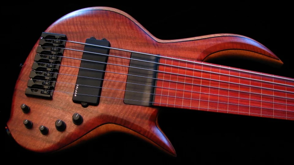 BEE Bass.jpg
