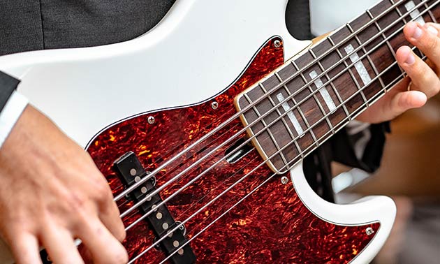 Beginner-Bassic.jpg