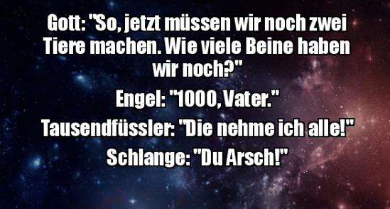 Beine.jpg