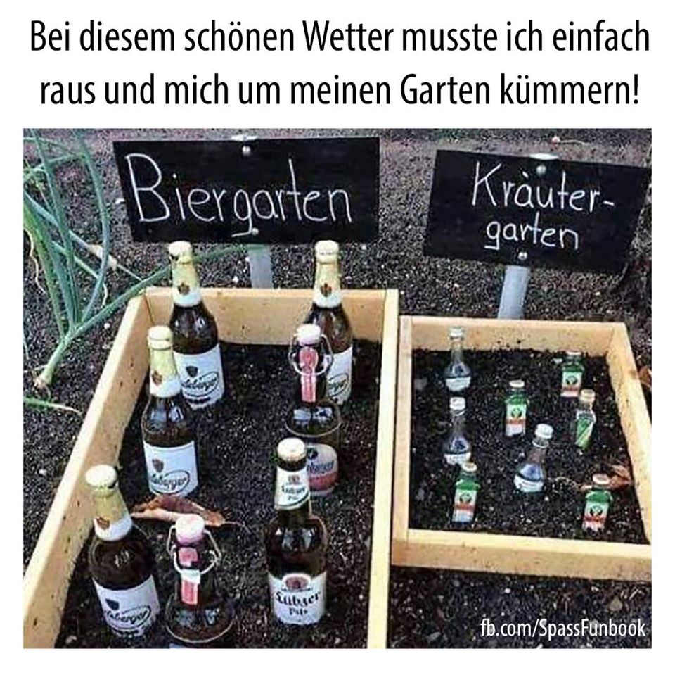 witz des tages Seite 1265 Bassic.de