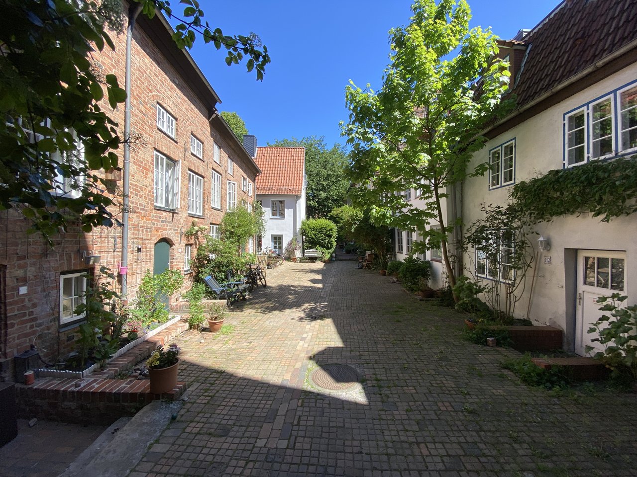bild.jpg