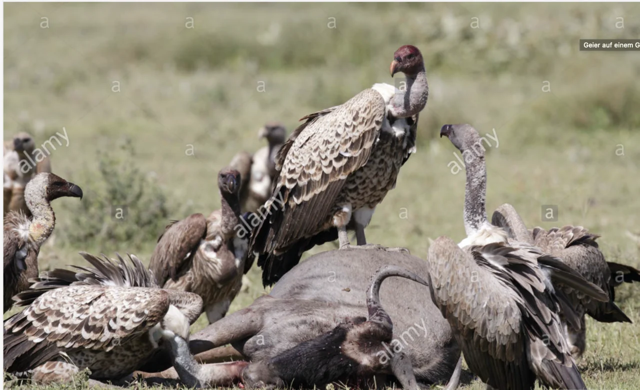 Bildschirmfoto 2020-04-14 um 13.18.37.webp