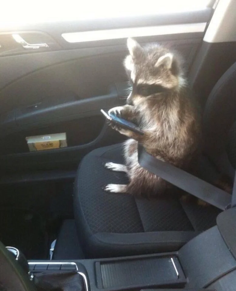 Bildschirmfoto 2021-03-30 um 16.04.32.webp