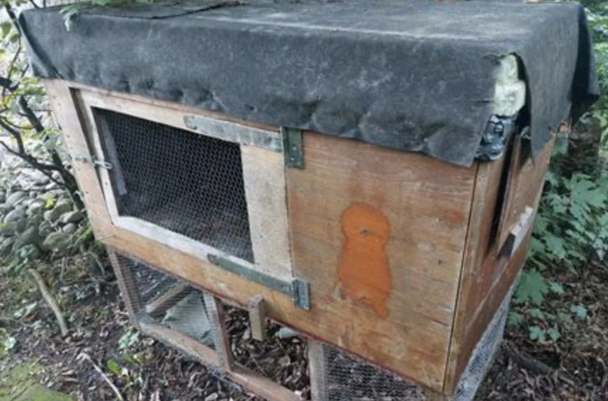 Bildschirmfoto 2024-04-20 um 15.46.05.webp