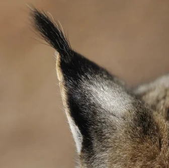 Bildschirmfoto 2025-05-20 um 21.21.01.webp