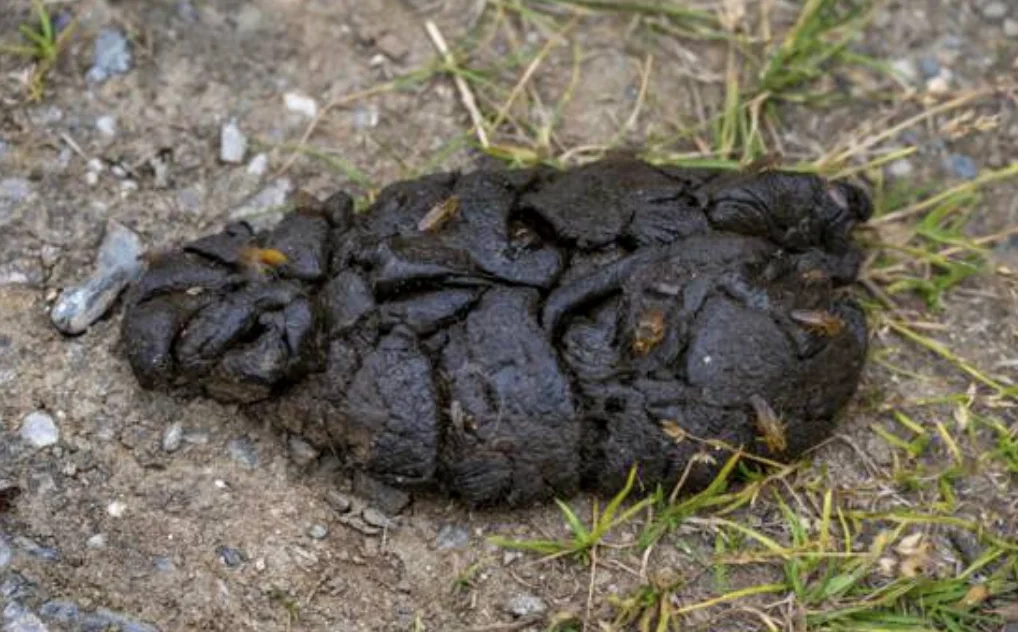 Bildschirmfoto 2025-06-20 um 16.32.31.webp