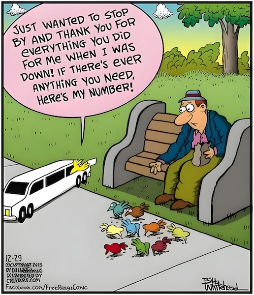 birds thank you.jpg