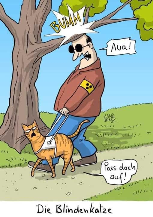 Blindenkatze.png