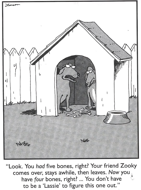 blöder hund.jpg