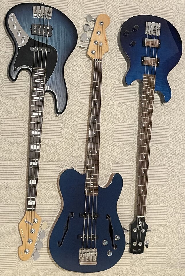 Blue_bro_2.JPG
