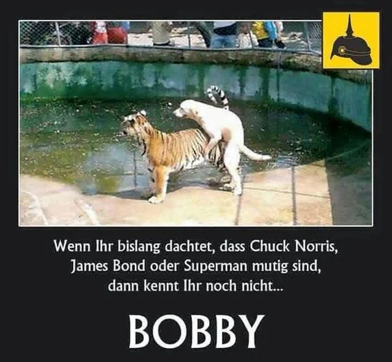 Bobby.webp
