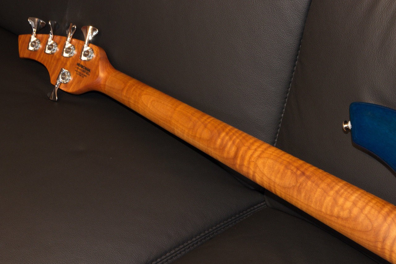 bongo3.jpg