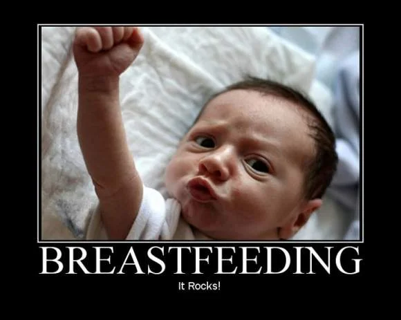 breastfeeding_posters_and_funny_stuff.webp