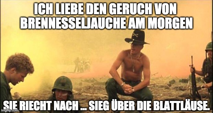 brennesseljauche.jpg