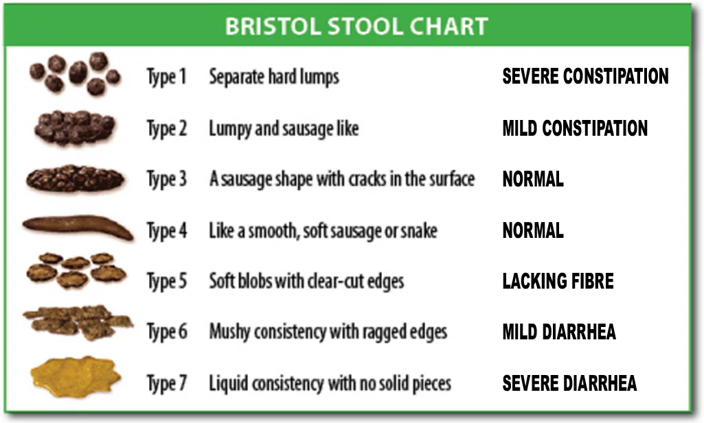 BristolStoolChart.webp