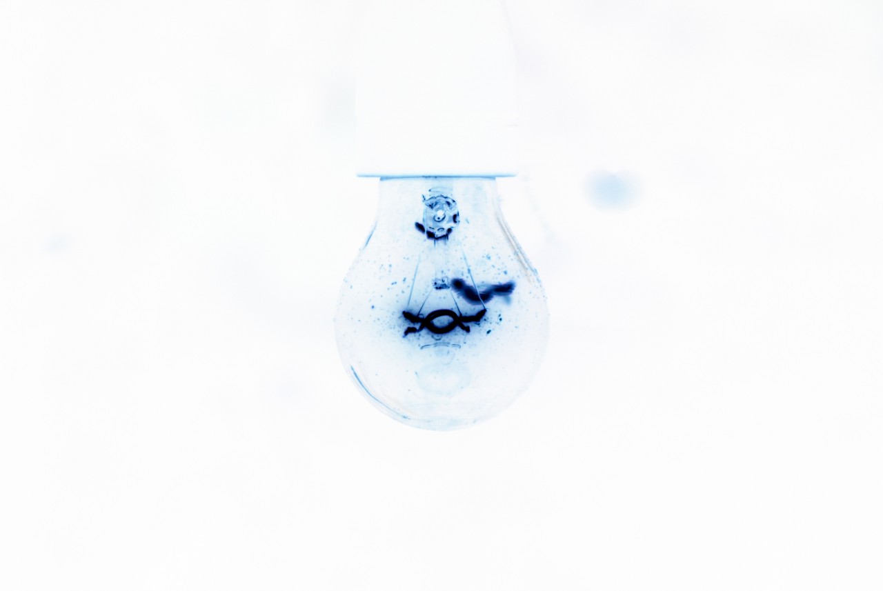 bulb.jpg