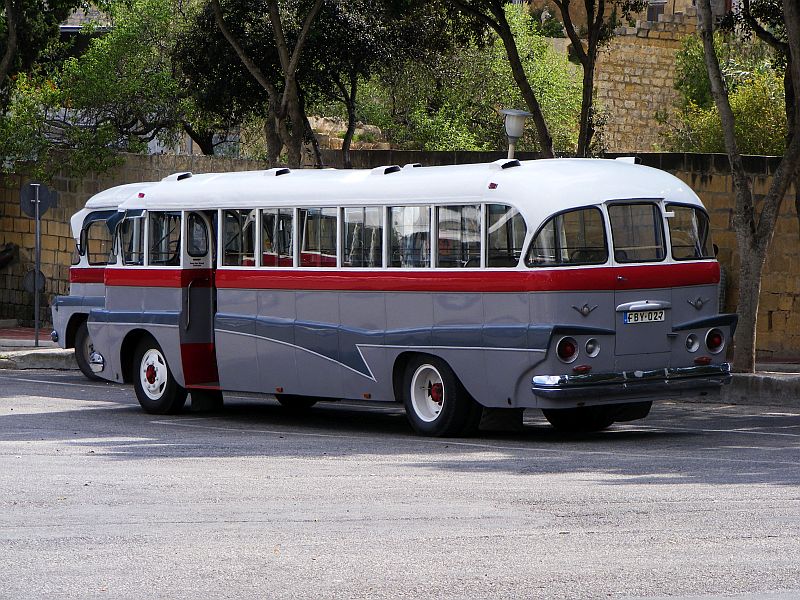 bus2.jpg