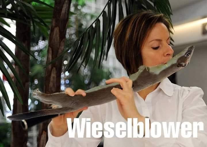 C2EC7006-5B11-47AF-9D4E-85048642283F.jpeg