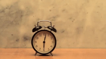 c5ec76568e60c1c8a169e419ab6dfe1d1ccb97d9.gif