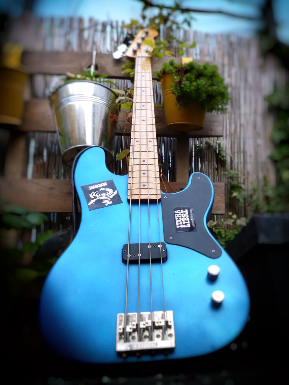 CABRONITA_blue#2.jpg