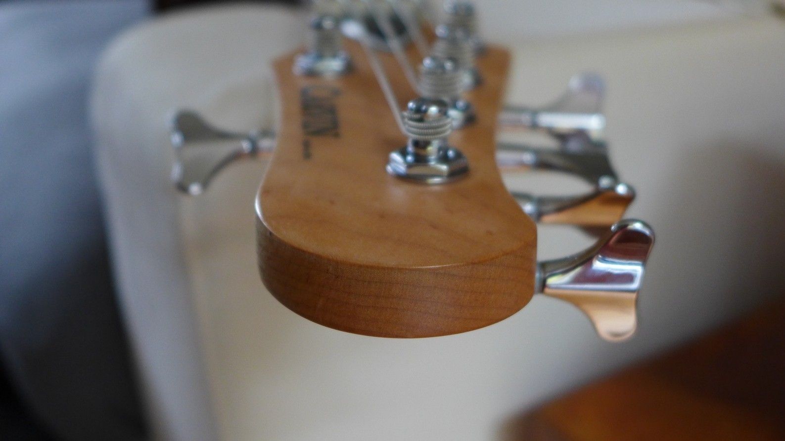 Carvin 6.jpg