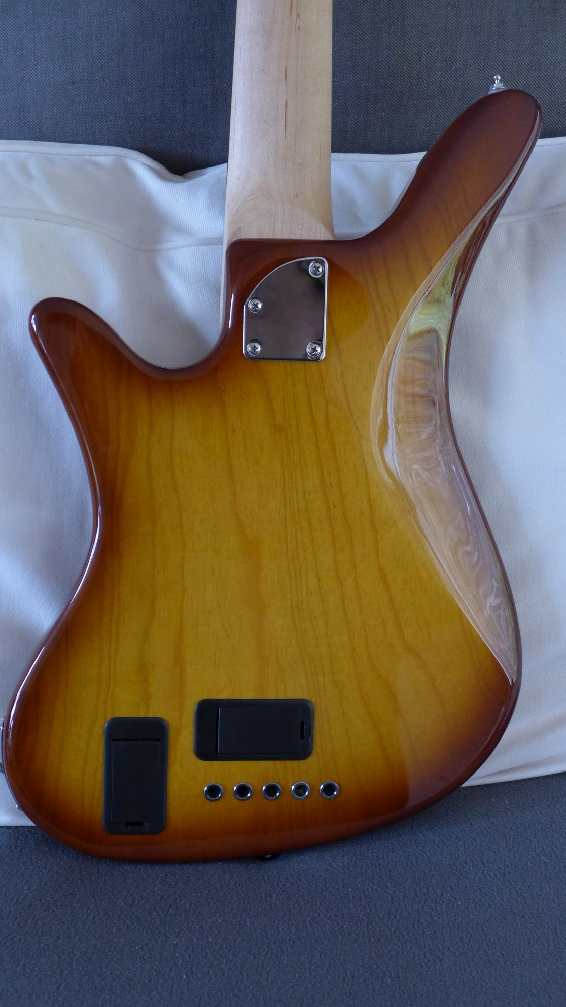 Carvin.jpg