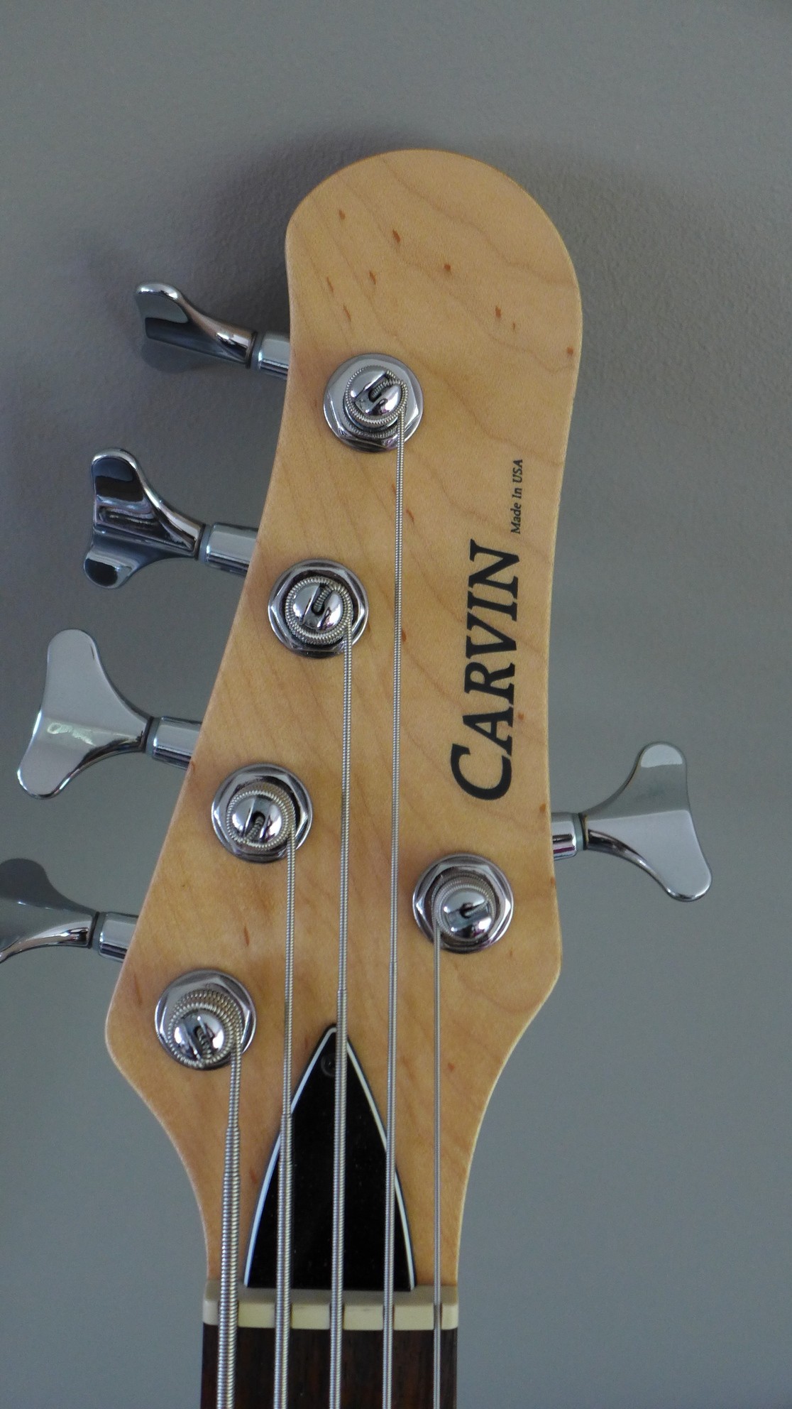 Carvin2.jpg