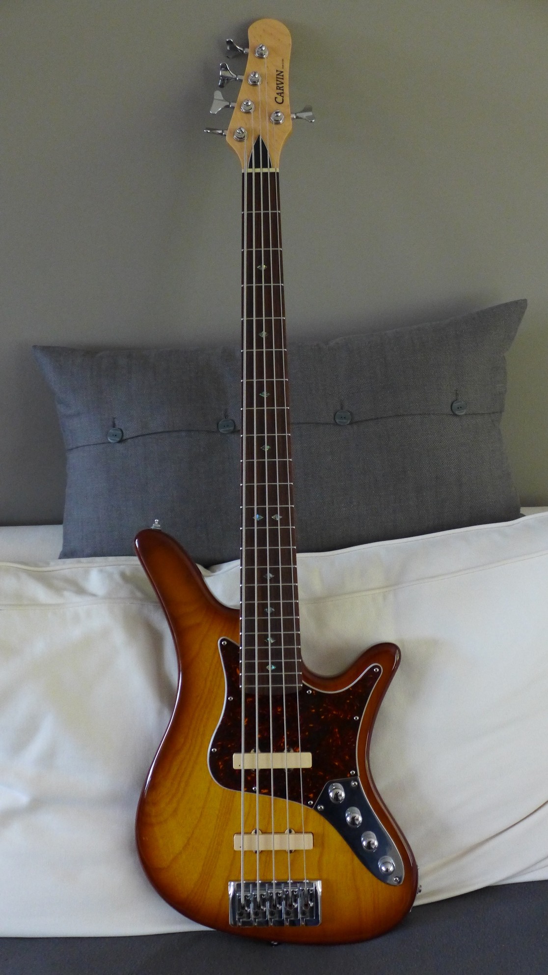 Carvin4.jpg
