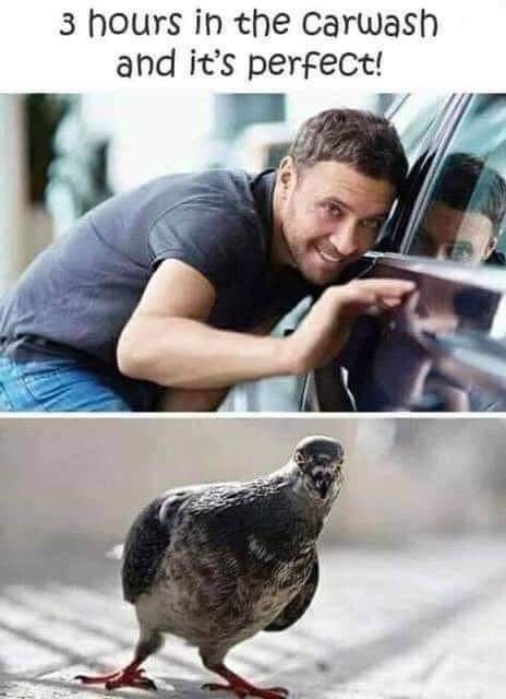 carwash.jpg