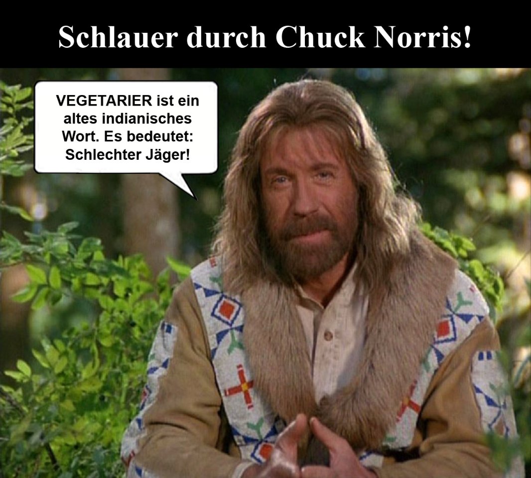 chuck norris schlechter jäger3256.jpg