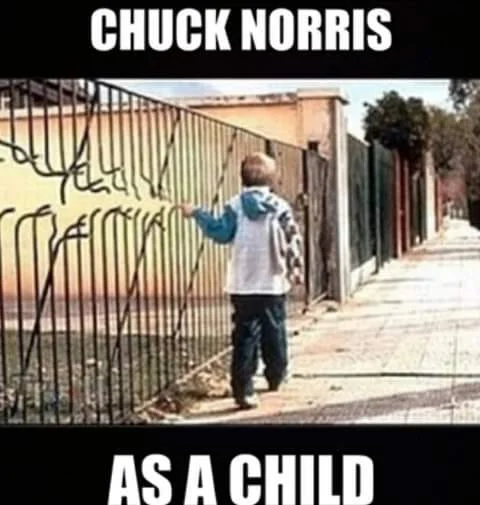chucknorris.webp
