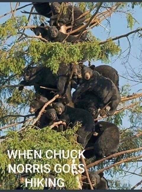 ChuckNorrisHiking.jpg