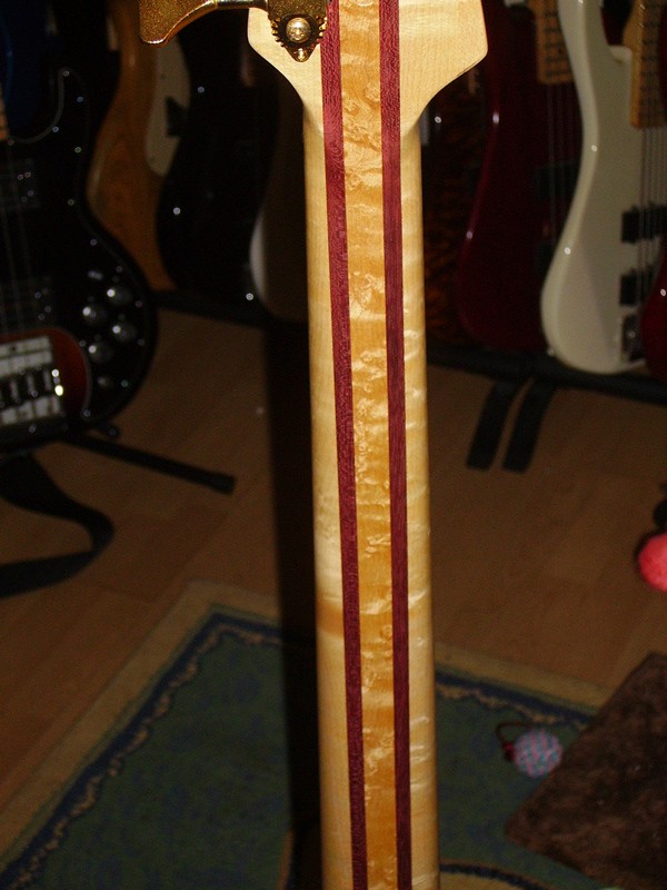 Cirrus neck.jpg