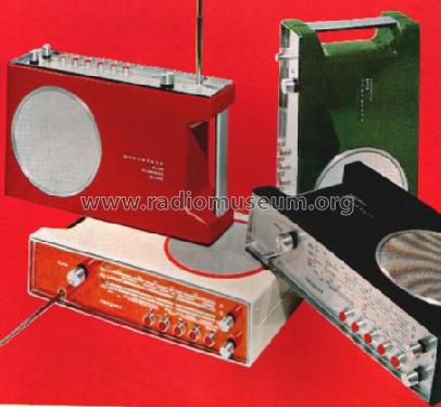 club_flamingo_9_110_a_33270.jpg
