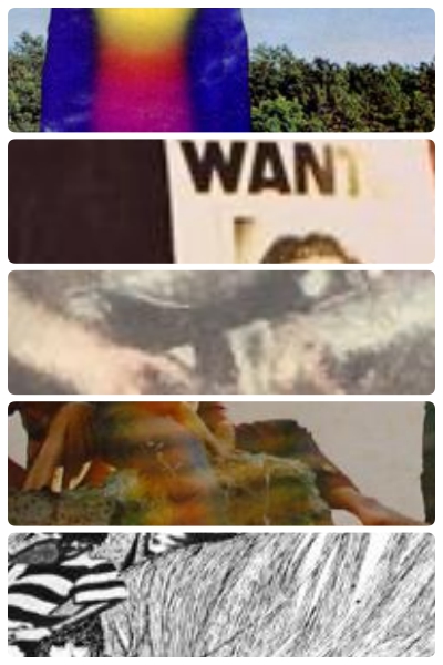 collage.jpg