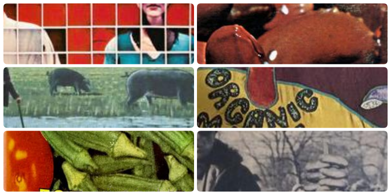 collage.png