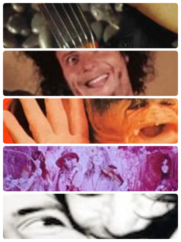 collage.png
