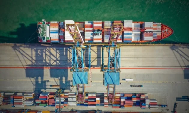 Noten in PDF organisieren