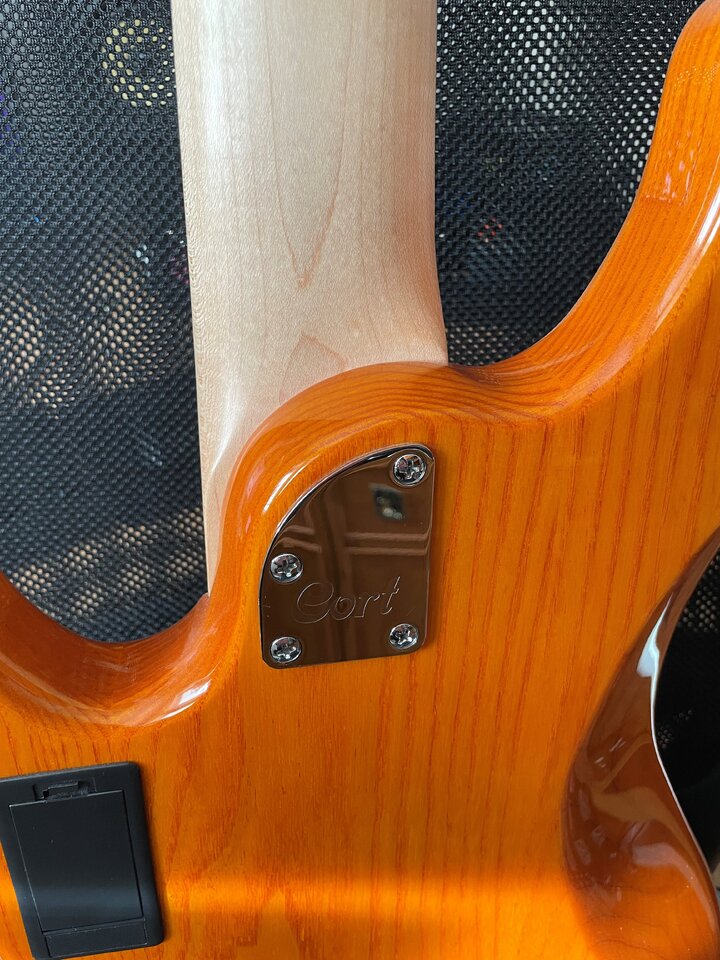CortBass2.jpg